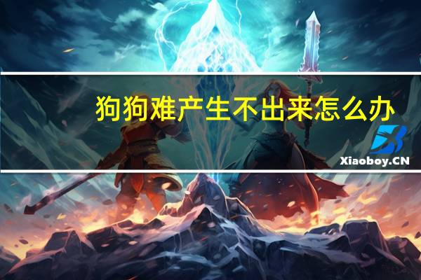狗狗难产生不出来怎么办