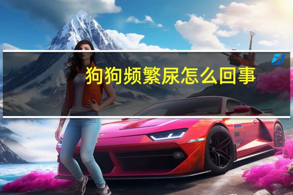 狗狗频繁尿怎么回事