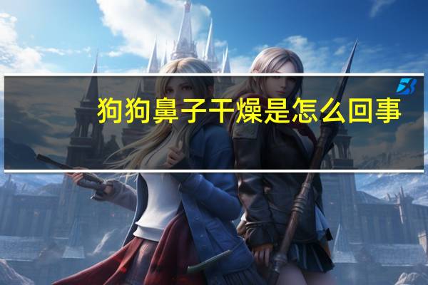 狗狗鼻子干燥是怎么回事