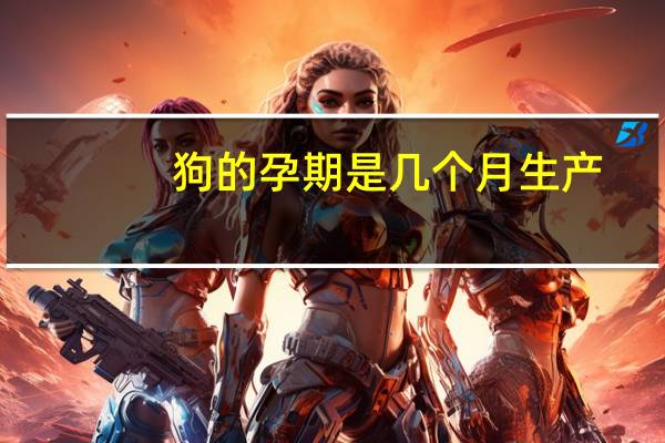 狗的孕期是几个月生产