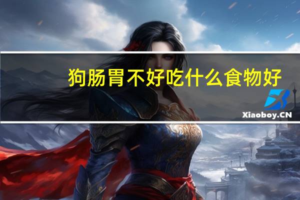狗肠胃不好吃什么食物好
