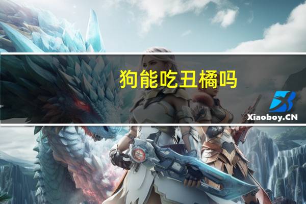 狗能吃丑橘吗