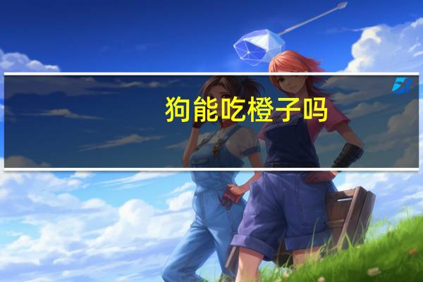 狗能吃橙子吗