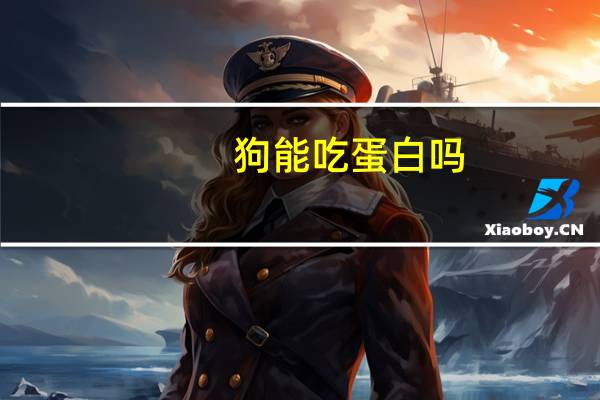 狗能吃蛋白吗