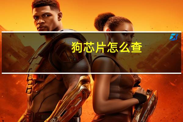 狗芯片怎么查
