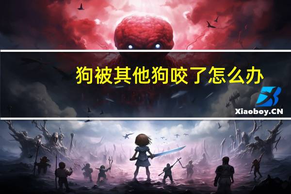 狗被其他狗咬了怎么办