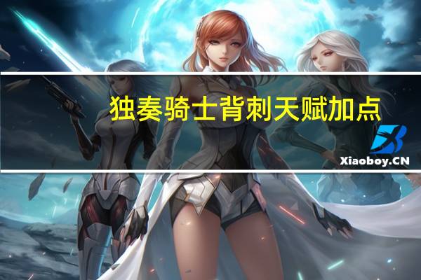 独奏骑士背刺天赋加点