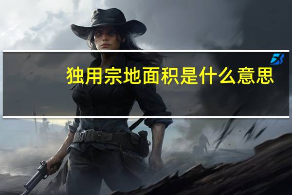 独用宗地面积是什么意思
