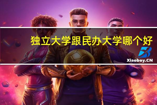 独立大学跟民办大学哪个好