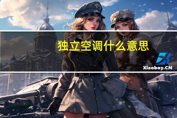 独立空调什么意思