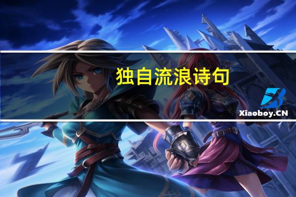 独自流浪诗句