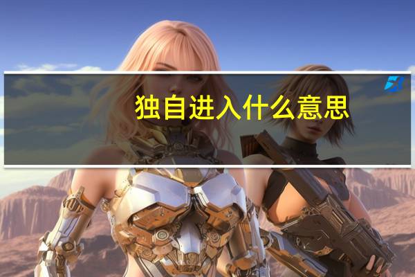 独自进入什么意思