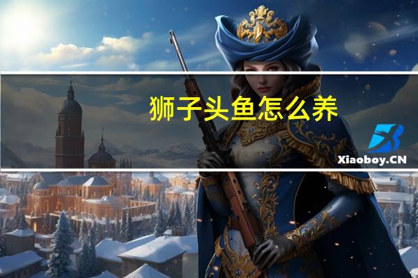 狮子头鱼怎么养