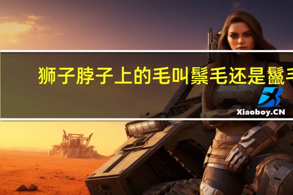 狮子脖子上的毛叫鬃毛还是鬣毛