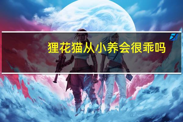 狸花猫从小养会很乖吗