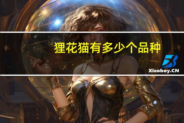 狸花猫有多少个品种