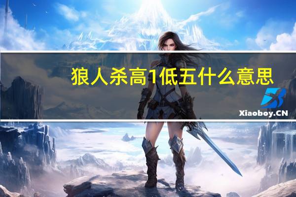 狼人杀高1低五什么意思