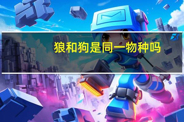 狼和狗是同一物种吗