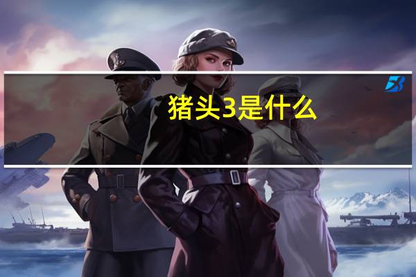 猪头3是什么