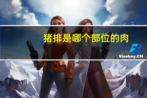 猪排是哪个部位的肉