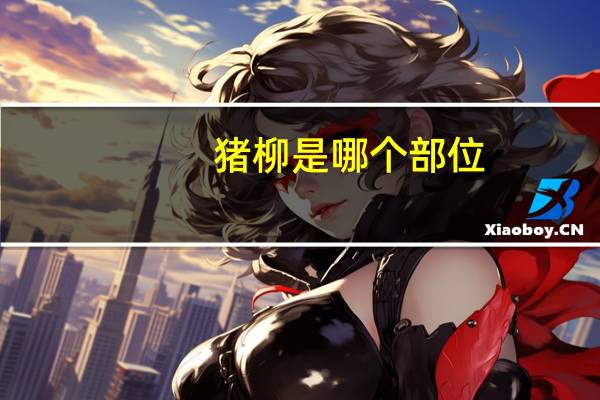 猪柳是哪个部位