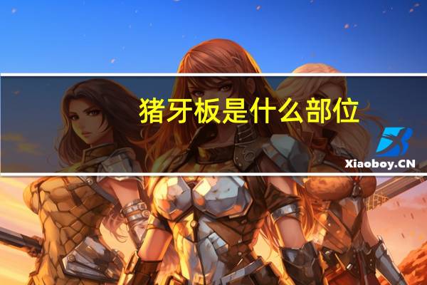 猪牙板是什么部位