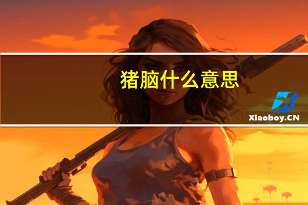 猪脑什么意思