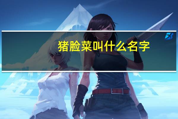 猪脸菜叫什么名字