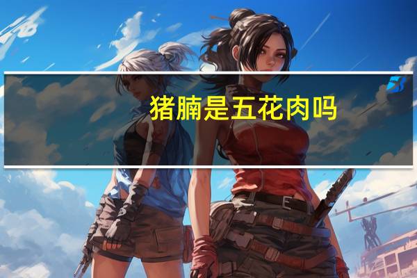 猪腩是五花肉吗