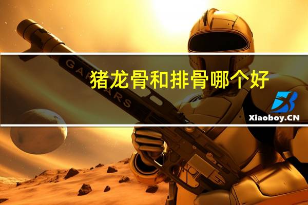 猪龙骨和排骨哪个好