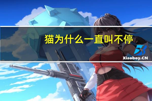 猫为什么一直叫不停
