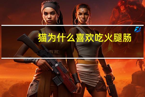 猫为什么喜欢吃火腿肠