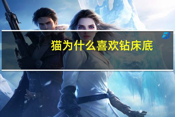 猫为什么喜欢钻床底