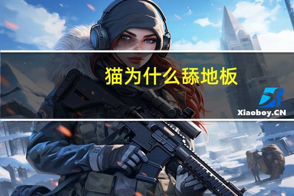 猫为什么舔地板