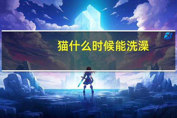猫什么时候能洗澡
