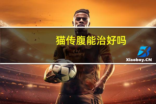 猫传腹能治好吗