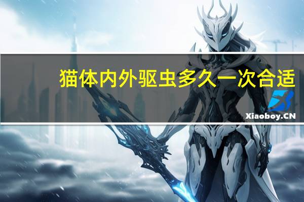 猫体内外驱虫多久一次合适