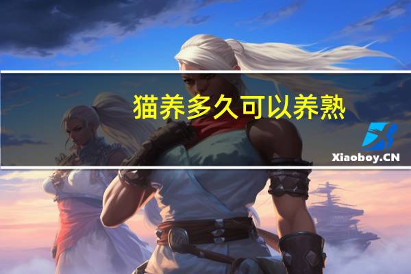 猫养多久可以养熟