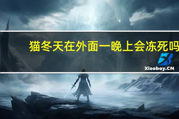 猫冬天在外面一晚上会冻死吗