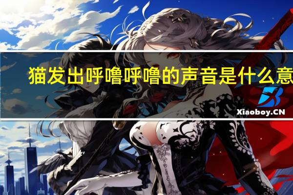 猫发出呼噜呼噜的声音是什么意思