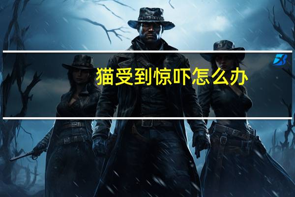 猫受到惊吓怎么办