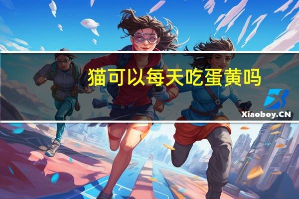 猫可以每天吃蛋黄吗