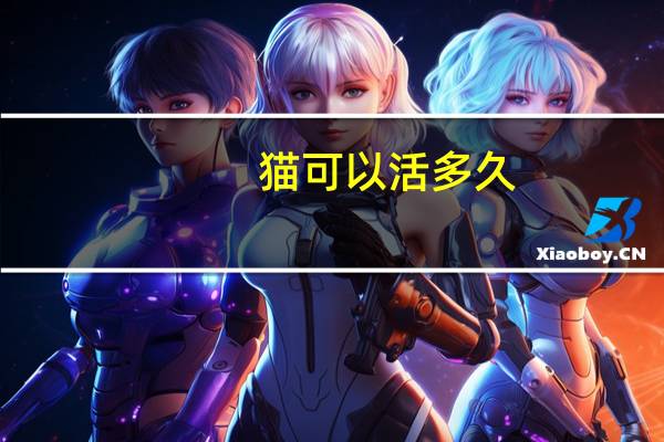 猫可以活多久