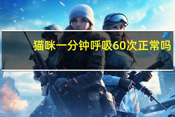 猫咪一分钟呼吸60次正常吗