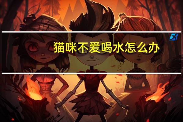 猫咪不爱喝水怎么办