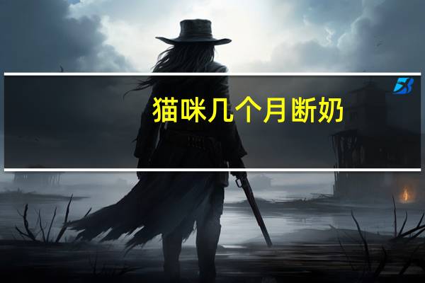 猫咪几个月断奶