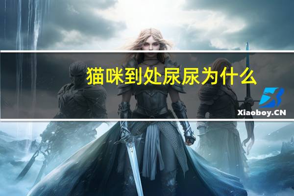 猫咪到处尿尿为什么
