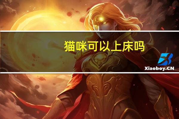 猫咪可以上床吗