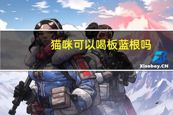 猫咪可以喝板蓝根吗