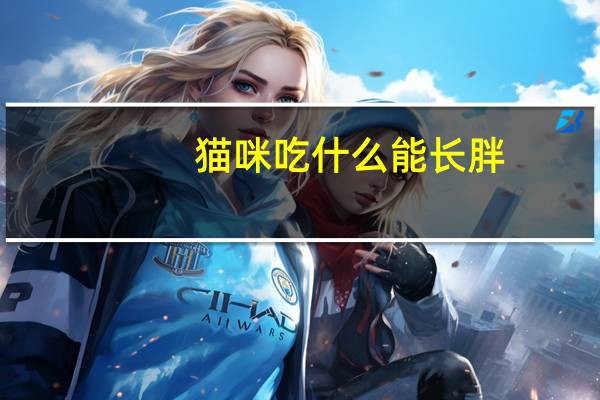 猫咪吃什么能长胖